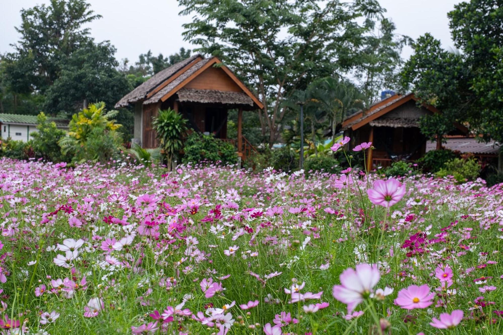 Hotel The Nest House Pai Exterior foto