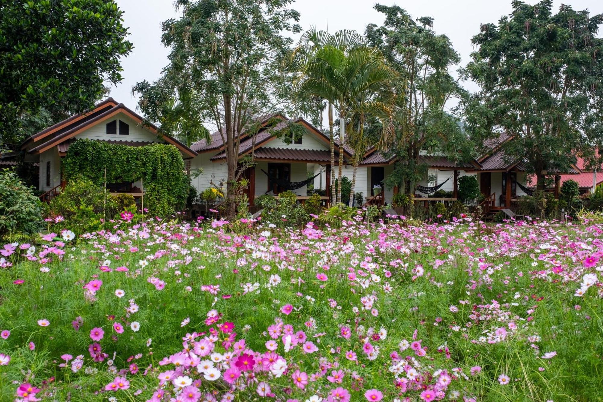 Hotel The Nest House Pai Exterior foto