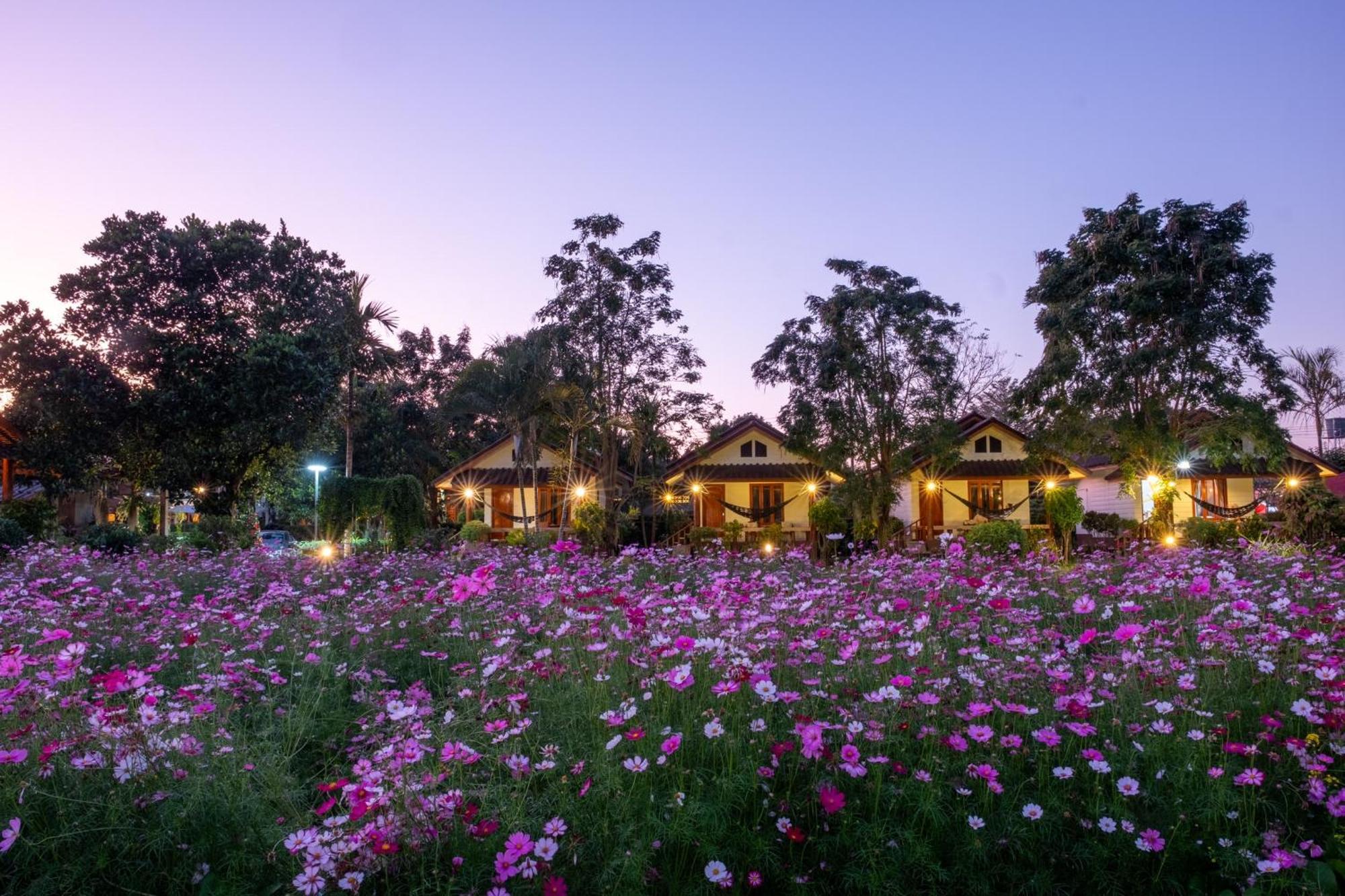 Hotel The Nest House Pai Exterior foto
