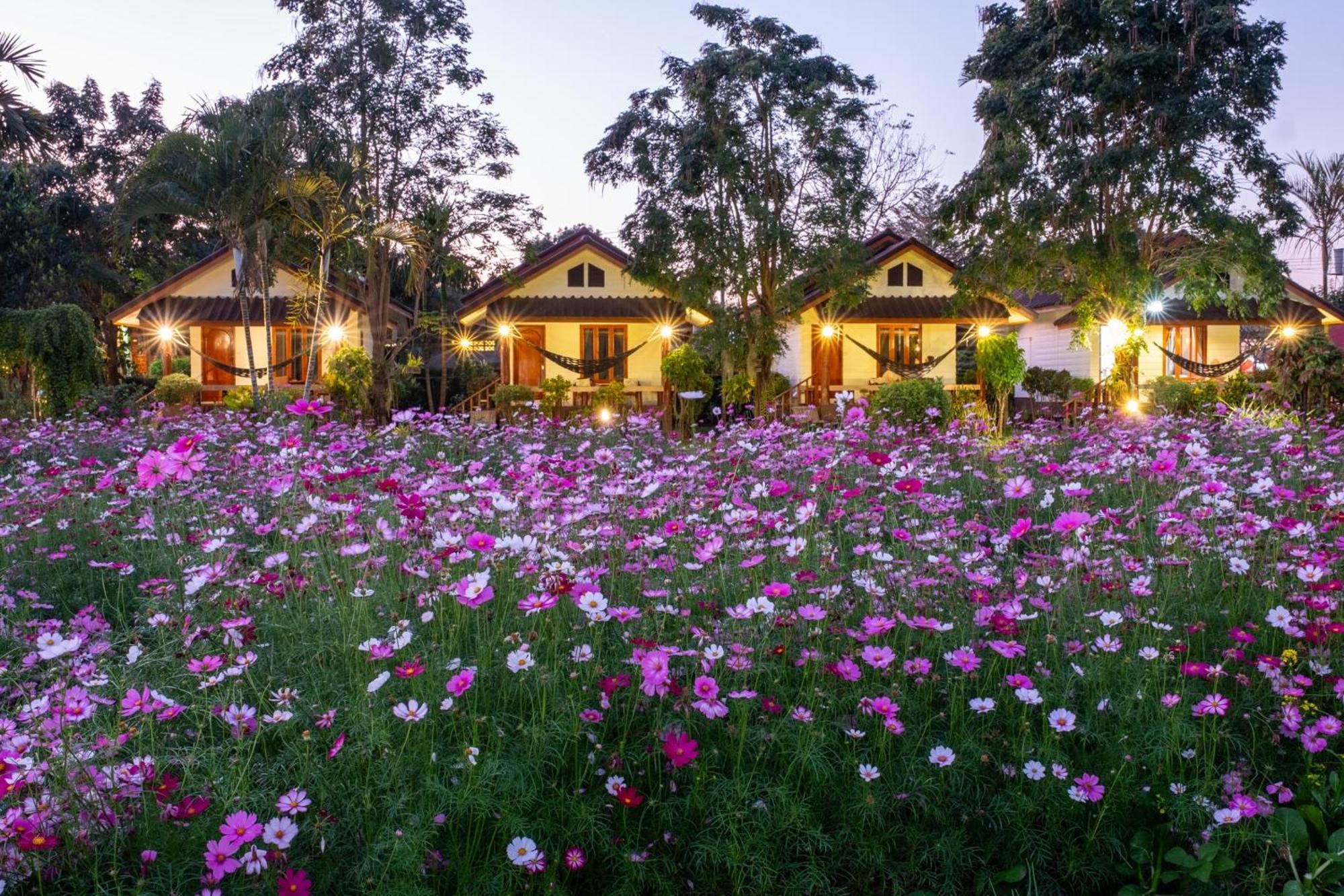 Hotel The Nest House Pai Exterior foto