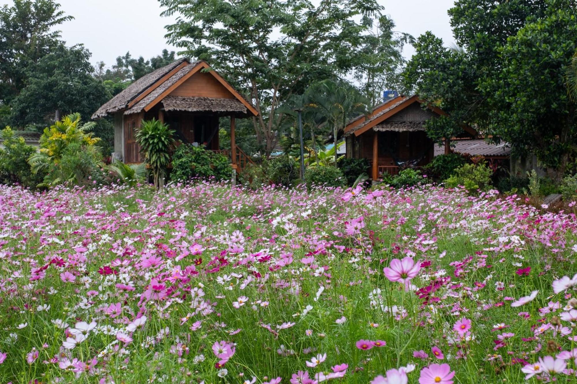 Hotel The Nest House Pai Exterior foto