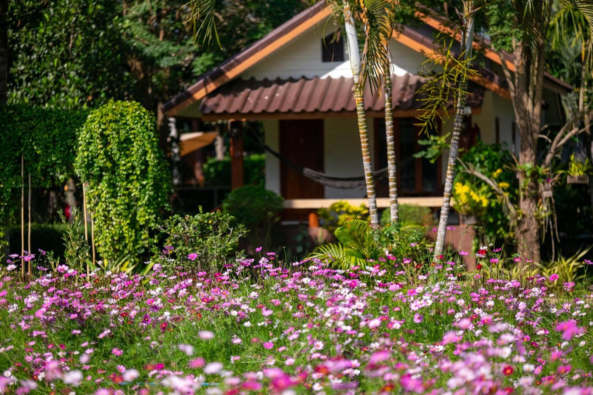 Hotel The Nest House Pai Exterior foto